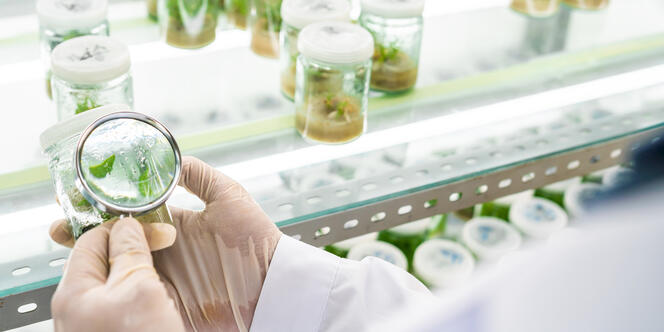 JRS développe des solutions sur mesure qui améliorent durablement votre produit.