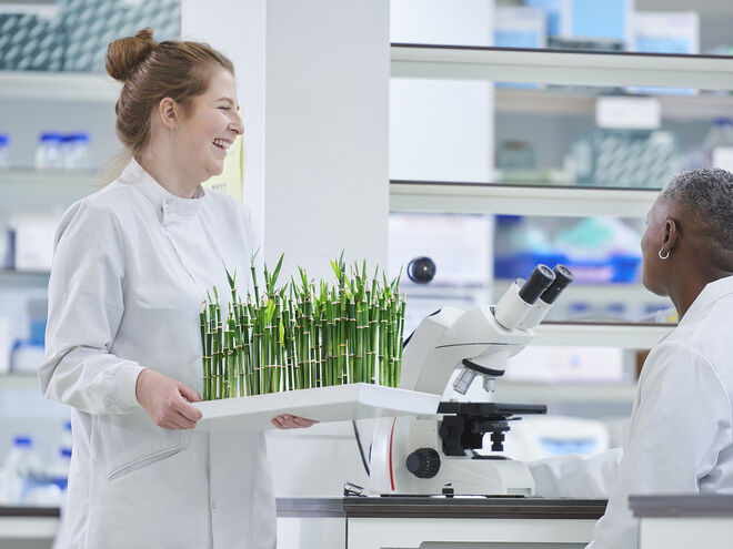 Une culture moderne des plantes