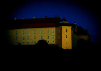 un soutien professionnel