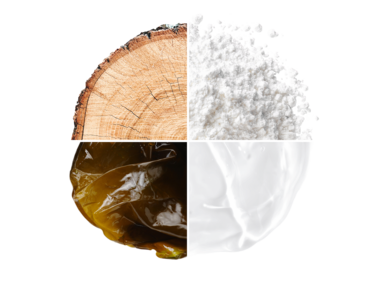 Biopolymère