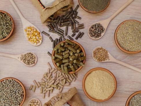 Composants d'aliments pour animaux