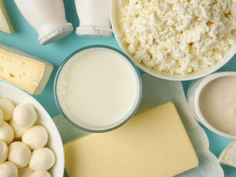 Produits laitiers & alternatives au lait