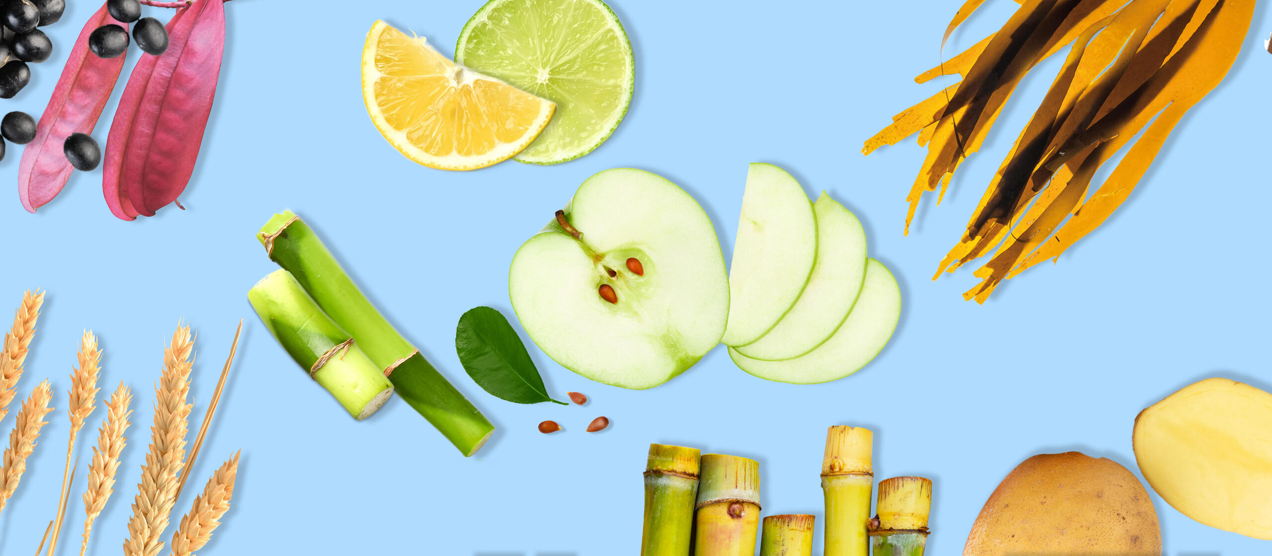 Aperçu des produits