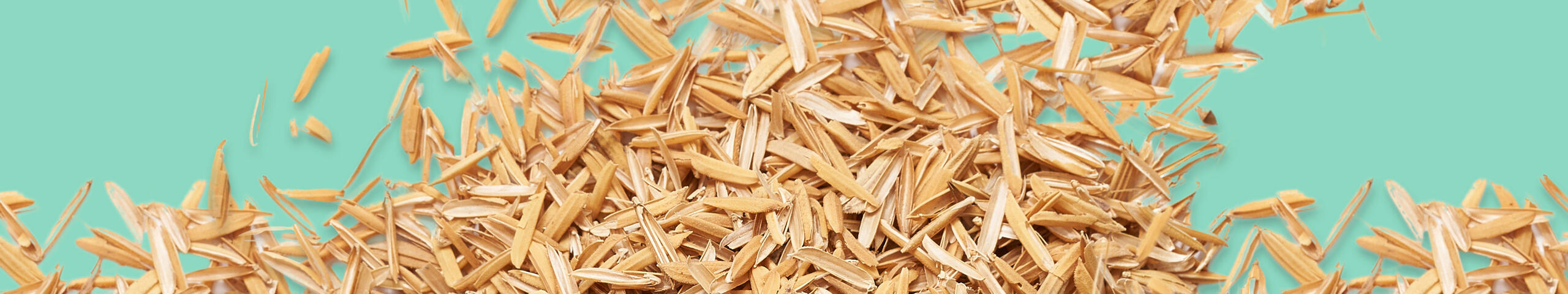 VITACEL® RF Fibre de Riz