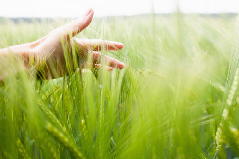 JRS Fibres végétales