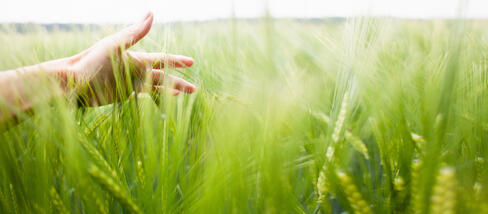 De meilleurs produits