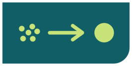 Formation de la structure