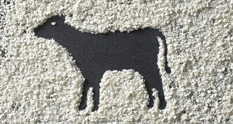 Conseils d'utilisation du VITACEL®