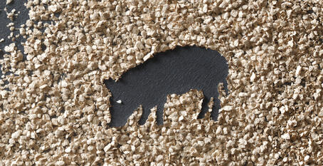 VITACEL® Recommandations d'utilisation et de dosage