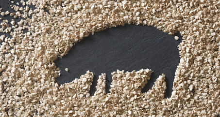 VITACEL® Recommandations d'utilisation et de dosage