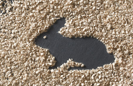 VITACEL® Recommandations d'utilisation et de dosage