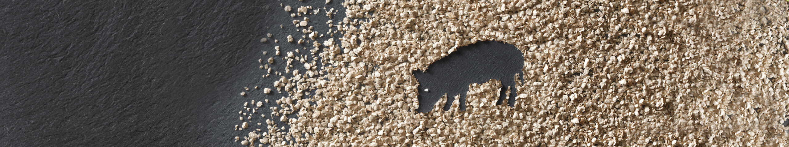 ARBOCEL® The Natural Crude Fiber Concentrate for Piglets (concentré de fibres naturelles pour porcelets)