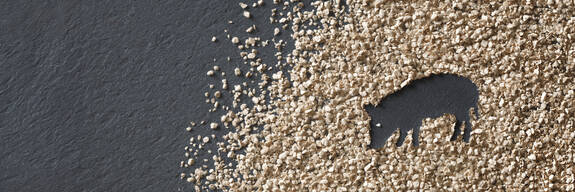 ARBOCEL® for Piglets