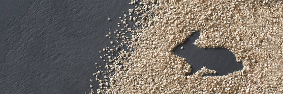 ARBOCEL® for Rabbits