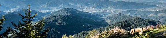 Un 'Sommelier du pain' et un boulanger par passion
