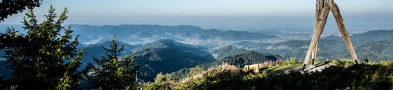 Une personnalité marquante avec une vision entrepreneuriale.