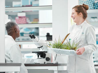 Amélioration des propriétés de pulvérisation avec JRS VIVAPUR