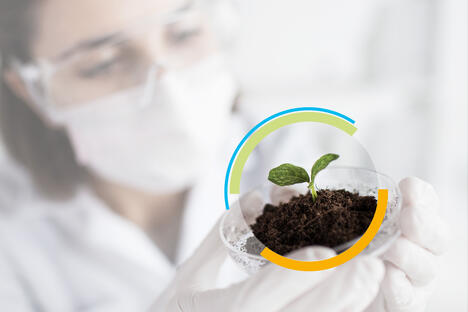 JRS solutions fibreuses à base de plantes pour les engrais