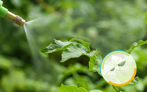 Amélioration de la pulvérisabilité grâce au remplacement de la gomme xanthane.