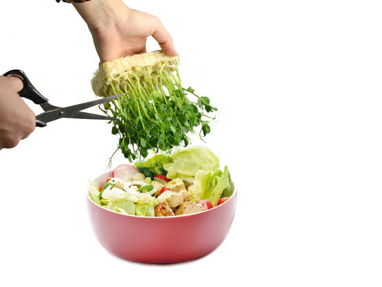 Croquant, frais et hygiénique