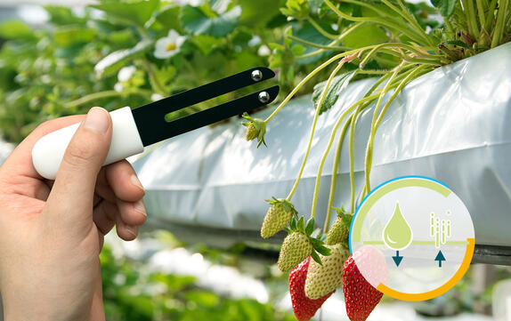 Séchage, gestion de l'humidité