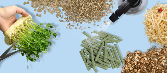 Des fibres végétales pour une culture moderne et réussie