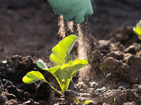 Une capacité de dosage parfaite avec JRS ARBOCEL®.