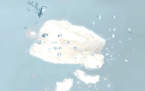 Propriétés de désintégration ou de décomposition idéales avec JRS ARBOCEL