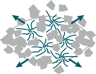 ARBOCEL® - LE PRODUIT