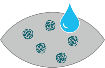 ARBOCEL® - LE PRODUIT