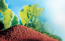 Enrobage de semences