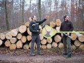 Bois issus de forêts gérées durablement