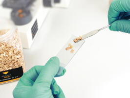 Sécurité alimentaire certifiée