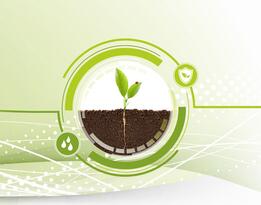 Plant Cultivation