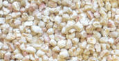 Granulés de maïs