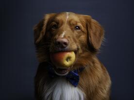 L&#039;expertise fibres - une source riche d&#039;innovation